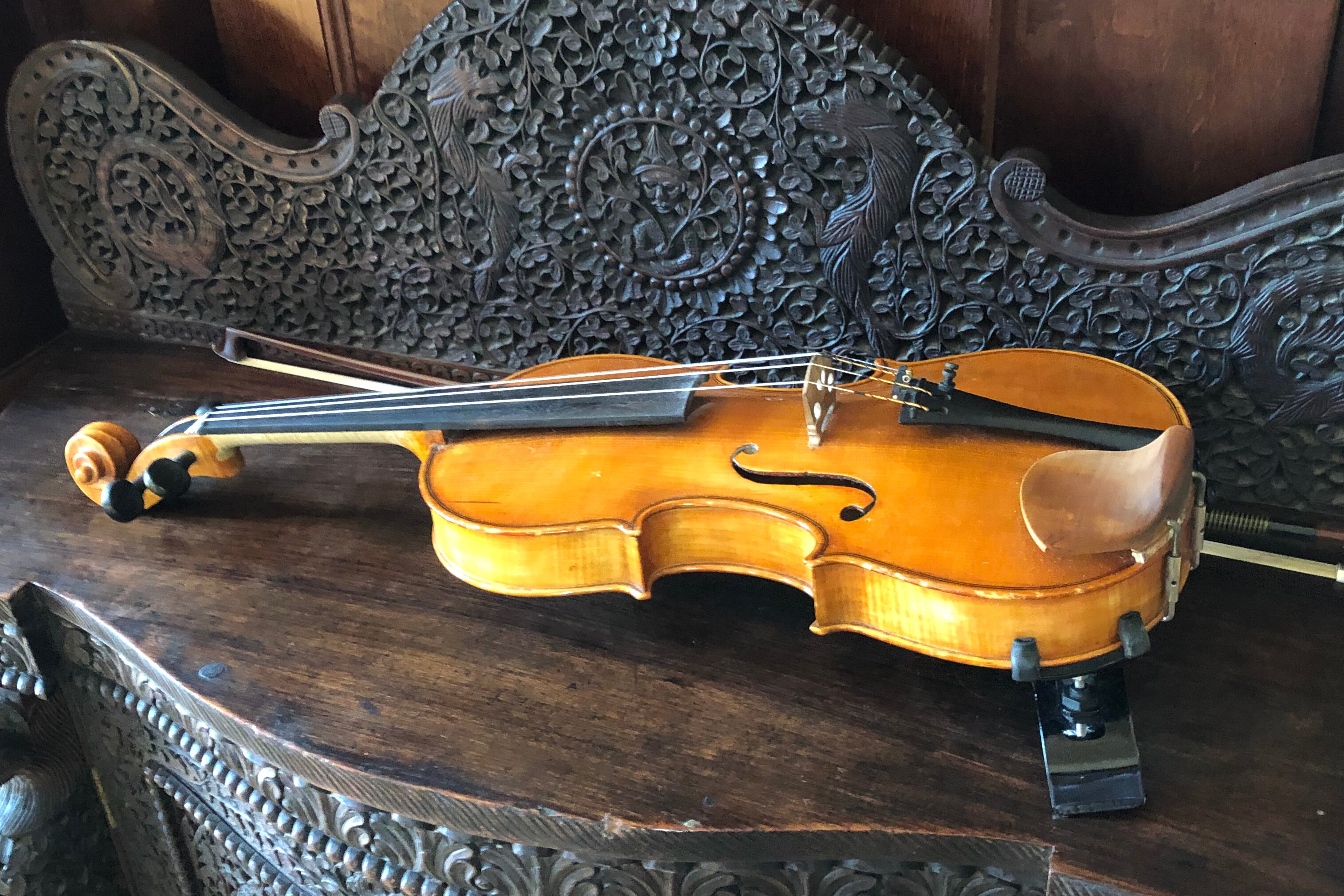 violin